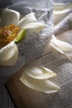 Still life of an open book with a faded peony