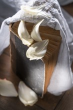 Still life with old book, rose petals and embroidered blanket