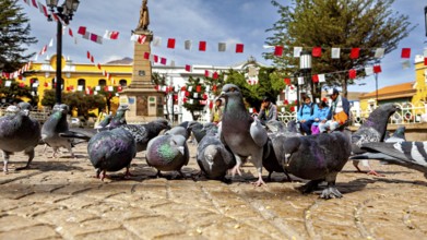 Pigeons in a square with a monument and garlands, people in the background under a clear sky, The