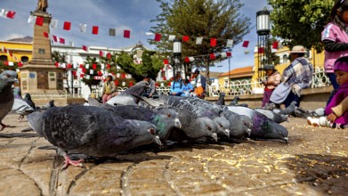 Pigeons gather in a square with people and garlands while children watch, The urban pigeons of