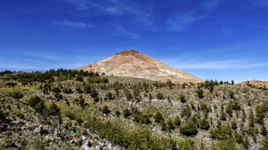 Brown volcanic mountain under a clear blue sky, surrounded by sparse vegetation and trees, the