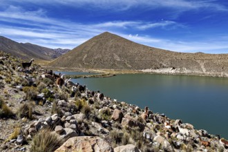 Clear lake surrounded by mountains and rocks, under a blue sky, The landscape near Potosi in