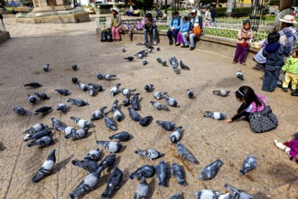 Lots of pigeons in an open square, children playing next to them, people nearby, The urban pigeons