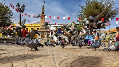 Pigeons fly over a busy square with a monument and garlands under a blue sky, The city pigeons of