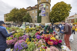 Weekly market in the city centre of Stuttgart. Schillerplatz. Stuttgart, Baden-Württemberg, Germany