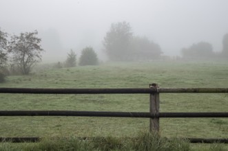 Fog covering a green farming field with a rustic wooden fence in the foreground