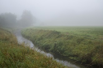 Stream winding through a grassy field on a dense, atmospheric, and tranquil morning