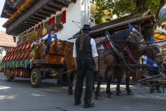 Historic brewery wagon with beer barrels, horses with harness, cold-blooded horses, coachman,