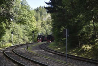 Double run, parallel run, double exit of two steam locomotives of the Harz narrow-gauge railway,