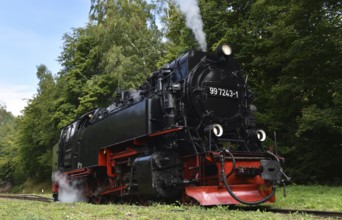 Steam locomotive of the Harz narrow gauge railway, Saxony-Anhalt, Germany
