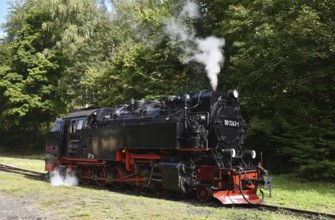 Steam locomotive of the Harz narrow gauge railway, Saxony-Anhalt, Germany