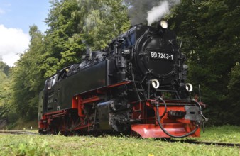 Steam locomotive of the Harz narrow gauge railway, Saxony-Anhalt, Germany