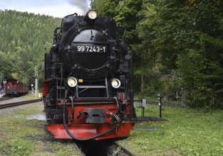 Steam locomotive of the Harz narrow gauge railway, Saxony-Anhalt, Germany