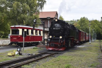 Rail bus, railcar T1 and steam locomotive of the Harz narrow-gauge railway at Alexisbad station,