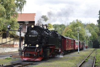 Rail bus, railcar T1 and steam locomotive of the Harz narrow-gauge railway at Alexisbad station,