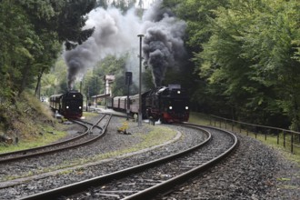Double run, parallel run, double exit of two steam locomotives of the Harz narrow-gauge railway,