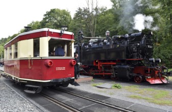Rail bus, railcar T1 and steam locomotive of the Harz narrow-gauge railway at Alexisbad station,