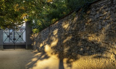 A stone wall in Berlin, illuminated by late afternoon sunlight, with trees casting shadows, Berlin,