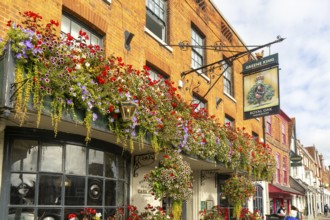 Colourful flowers in large window box and hanging baskets, Royal Oak public house, Marlborough,