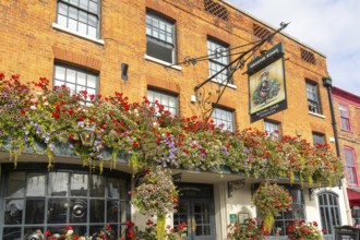 Colourful flowers in large window box and hanging baskets, Royal Oak public house, Marlborough,