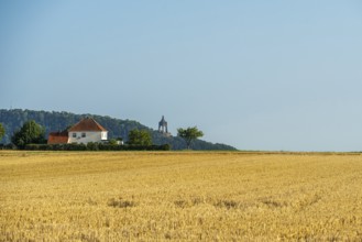 Summer landscape with a wheat field, a house with a red roof and a tower on a hill in the