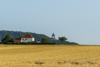 Summer landscape with a wheat field, a house with a red roof and a tower on a hill in the