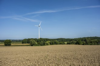 A wind turbine in the middle of a large field under a clear sky, Halle, Westphalia, North