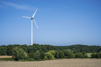 A wind turbine towers in a green landscape under a clear blue sky, Halle, Westphalia, North