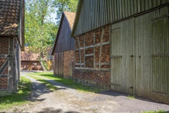 Path leads between rustic half-timbered houses made of brick and wood, surrounded by trees, Weser