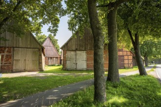 Avenue with old half-timbered houses lined with large trees on a sunny day, Weser cycle path,