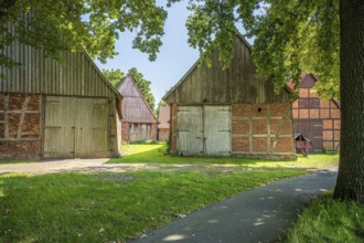 Rural path leads between old half-timbered houses surrounded by trees, Weser cycle path,