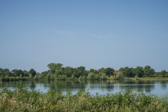 A calm river with green trees and a clear sky reflects the peaceful atmosphere of nature, Weser