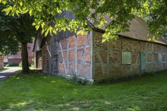 Half-timbered brick house along a shady path surrounded by large trees, Weser cycle path,