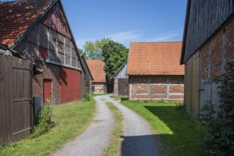 Rural path between farmsteads with red roofs and half-timbered façades, framed by summer greenery,