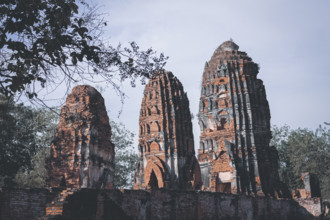 Tall brick ruins and towers reaching towards the sky amidst surrounding trees, evoking antiquity.
