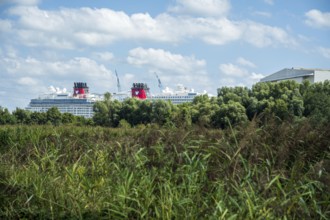 A cruise ship hides behind green trees in front of a blue sky with clouds, cruise ship in the