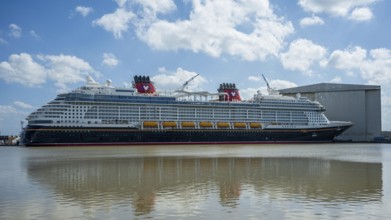A large cruise ship moored next to a shipyard on a sunny day, cruise ship at the Meyer Werft