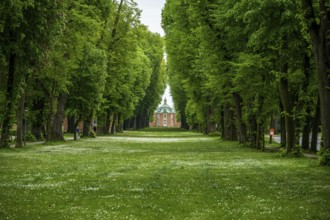 A symmetrical avenue of tall trees leads to a historic building surrounded by fresh green lawns,