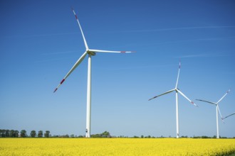 Large wind turbines stand in a rapeseed field under a cloudless blue sky, wind turbines in a