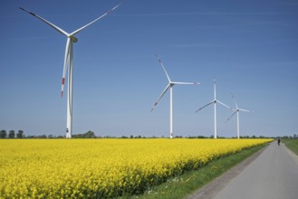 Wind turbines tower above a bright yellow rapeseed field under a bright blue sky, wind turbines on