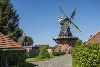 Windmill and houses in a quiet village under a blue sky, surrounded by trees, Windmill near Weener