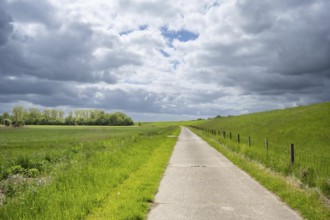 A path leads through a green landscape under a cloudy sky, farm track behind a dyke near