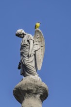 Angel figure with yellow bird, Recoleta cemetery, Buenos Aires, capital of Argentina