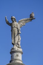 Angel figure with dove, Recoleta cemetery, Buenos Aires, capital of Argentina