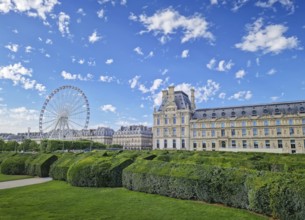 The Tuileries Garden with view to the Grande Roue in Paris, France. The famous Ferris wheel is