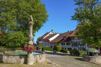 Medieval Old City Square with House and Water Fountain in a Sunny Summer Day with Blue Sky in