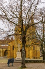 Beautiful Cathedral Collégiale de Neuchatel and Bare Tree with Sky in City of Neuchatel, Canton