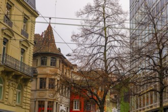 City Street and Bare Tree in Zurich, Zurich Canton, Switzerland