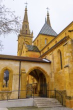 Beautiful Cathedral Collégiale de Neuchatel and Branch with Sky in City of Neuchatel, Canton