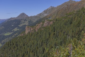 Landscape panorama, Mountain forest, Mountain pines, Autumnal, Uttendorf Pinzgau